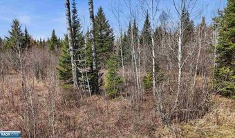 8849 Hwy 25, Angora, MN 55703