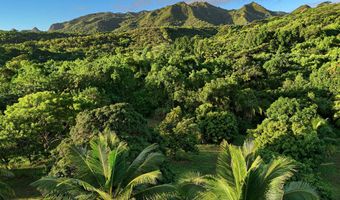 6565- C KOOLAU Rd, Anahola, HI 96746