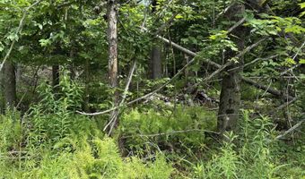 1386 Clif Reynolds Rd, Cambridge, VT 05444