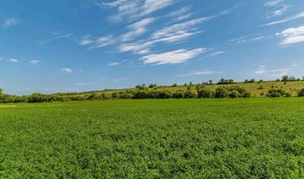Lot 1 11.26 Acres Trotter Road, Argyle, WI 53504