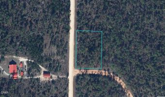 Cormick Circle, Alford, FL 32420