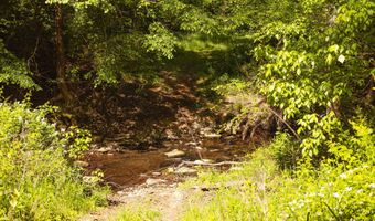 Beech Bluff Road, Beech Bluff, TN 38313
