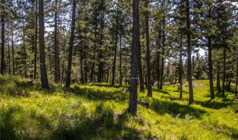 87 Rock Ridge Way, Bigfork, MT 59911