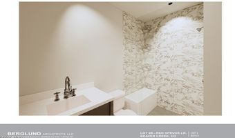 46 Red Spruce Ln 2, Beaver Creek, CO 81620