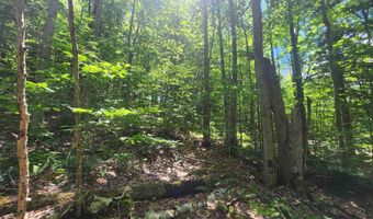 00 Hillcrest Rd, Andover, VT 05143