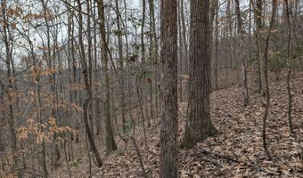 9999 Tip Top Rd, Beattyville, KY 41311