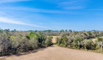 NW County Road 22, Alachua, FL 32615