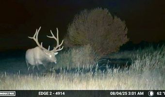 000 CR 40.2, Branson, CO 81027