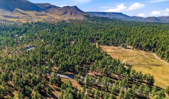 25319 US Hwy 191, Alpine, AZ 85920