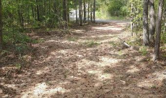 334 SERENITY Ln Lot 1, Alpine, AL 35014