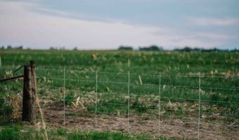 885 Th Rd, Bassett, NE 68714