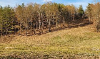 151 Cobb Rd, Blacksburg, SC 29702