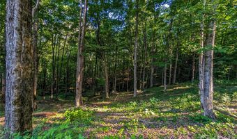 Amber Ranches 47, Bakersville, NC 28705