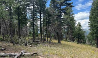S Vail Overlook lot 310, Angel Fire, NM 87710