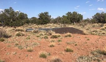 Tbd WICKED SISTERS, Concho, AZ 85924