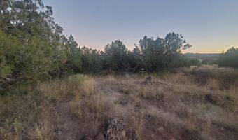 1 COUNTY ROAD N8155, Concho, AZ 85924