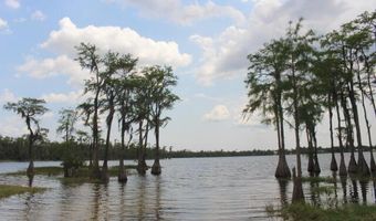 21558 NW Lake Mckenzie Blvd, Altha, FL 32421