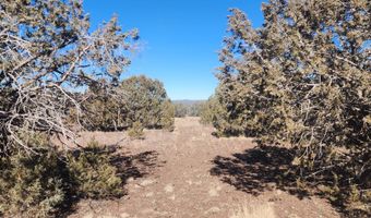 2113 W Skyline Dr, Ash Fork, AZ 86320