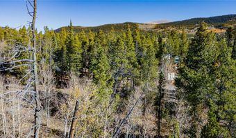 235 WILLOW Ln, Alma, CO 80440
