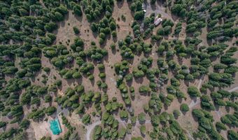 7700 Hyatt Prairie Rd, Ashland, OR 97520