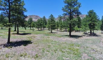 28111 County Rd 41.4, Aguilar, CO 81020
