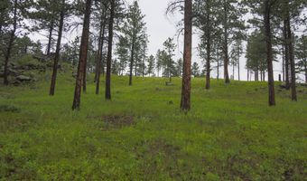 14884 Rist Canyon Rd, Bellvue, CO 80512