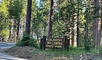 1547 Anna Lee Way, Arnold, CA 95223