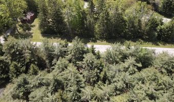 E W Resort Road lot 2, Alanson, MI 49706