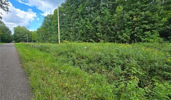 Tbd 162nd Street, Apple River, WI 54001