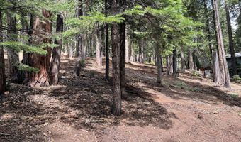 5175 Hokan Cir, Camp Connell, CA 95223