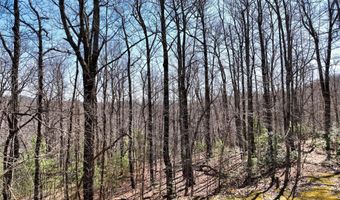 4 17 Acres Spruce Ln 28, Zirconia, NC 28790