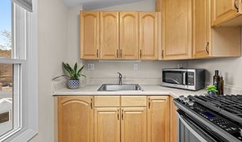 47 R Jamaica 3, Boston, MA 02130