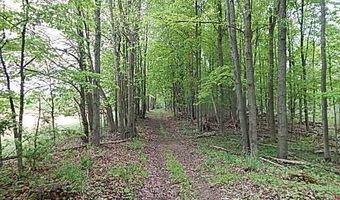 15250 27 Mile Rd, Albion, MI 49224