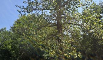 6348 Lawrence 1207, Ash Grove, MO 65604