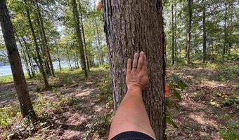 0 GIBSON COVE Dr 3 Acres, Ashville, AL 35953