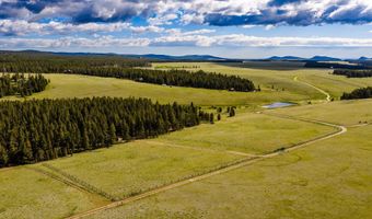 128 Piton Pl, Buffalo, WY 82834