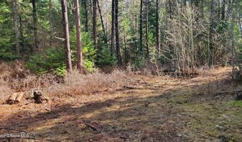 NKA Collins Road, Athol, ID 83801