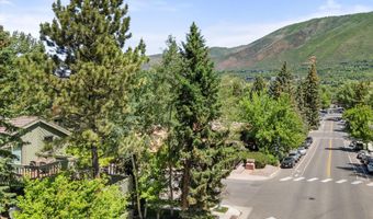 125 E Hyman Ave 1A, Aspen, CO 81611