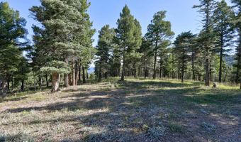 Vail Overlook S lot 324, Angel Fire, NM 87710