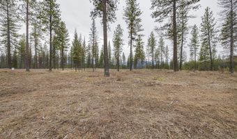 L5 B1 Wallace Lane, Blanchard, ID 83804