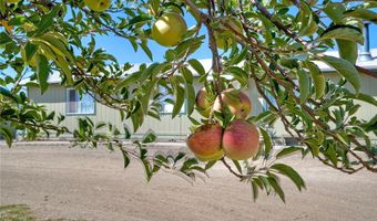 49450 Kiowa, Aguanga, CA 92536