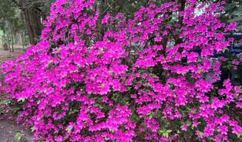 237 12th St, Apalachicola, FL 32320