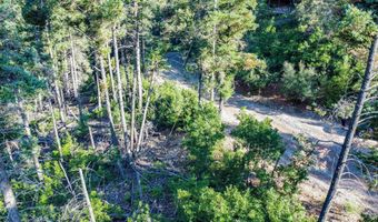 Lot5-6 Geronimo Hill Trl PINEY WOODS #3, High Rolls Mountain Park, NM 88325