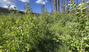 2493 Greer Rd, Bellvue, CO 80512