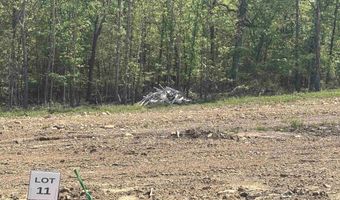 Lot 11 Madeleine Circle, Austin, AR 72007
