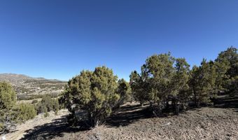 Andy's Way, Elko, NV 89801