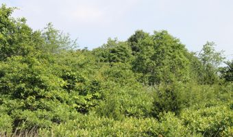 Chestnut Street, Aurora, MO 65605