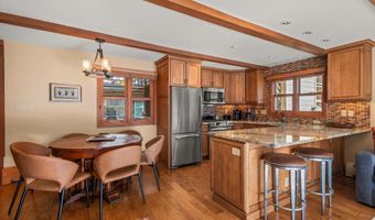 825 E Hopkins Ave 2S, Aspen, CO 81611