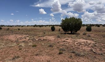 20 N 9160, Concho, AZ 85924