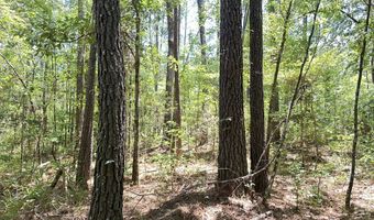Highway 17A, Bonneau, SC 29431